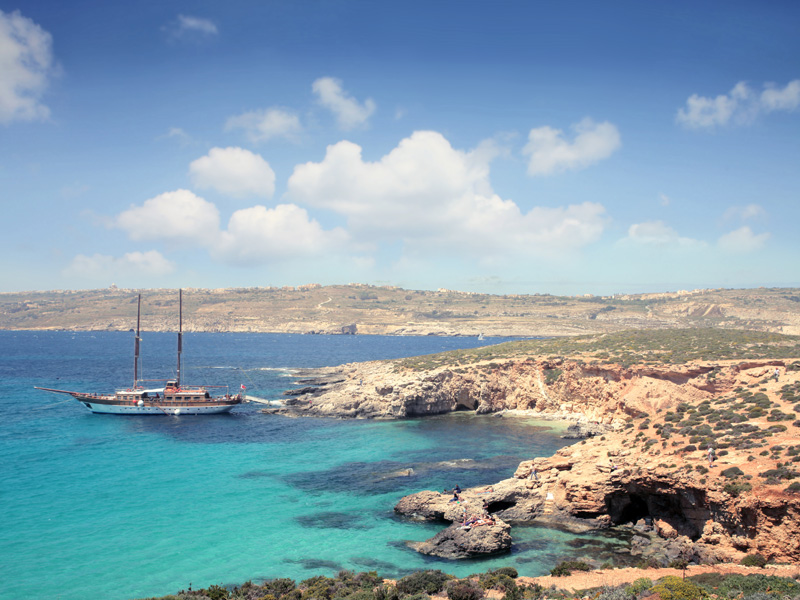 Sed blandit massa vel