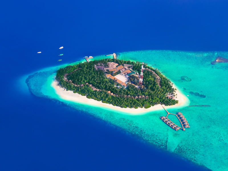 Suspendisse arcu nisl